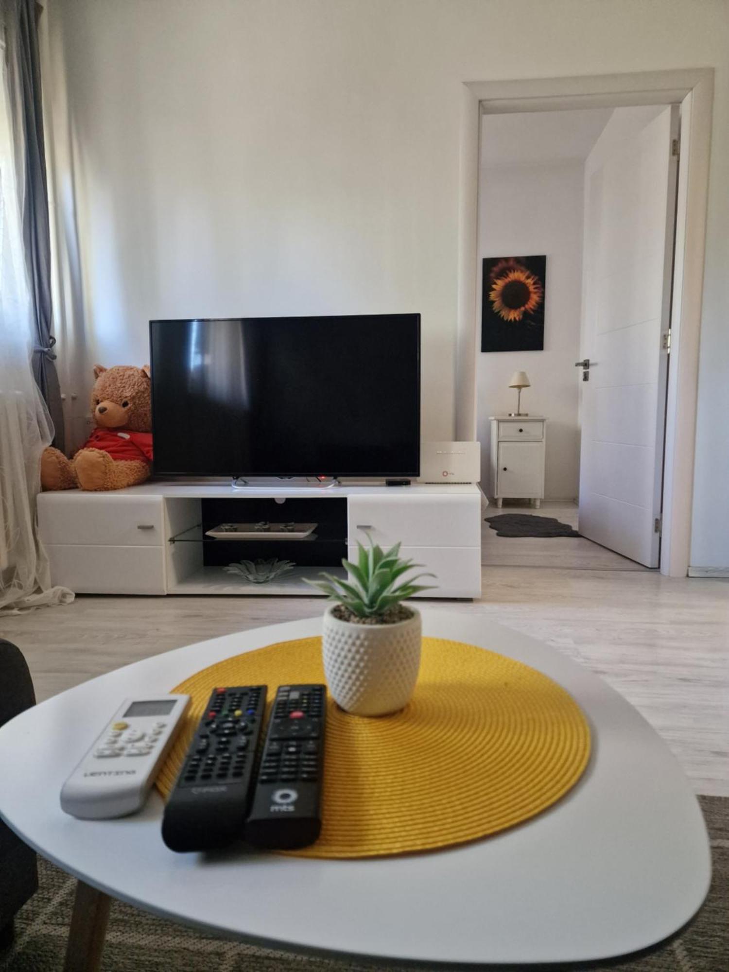 Apartment Iskra 贝尔格莱德 外观 照片